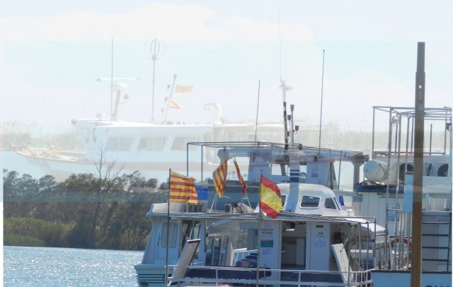 Hermandad con los mismos colores en el delta del Ebro. Tarragona